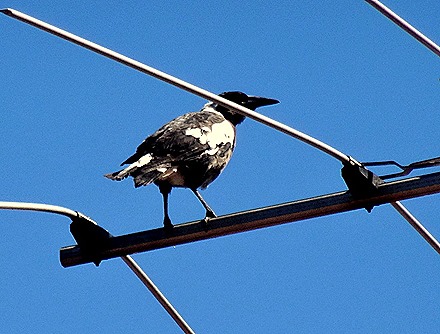 25. Freemantle, Australia