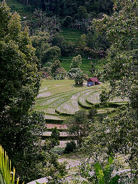 258a. Benoa, Bali, Day 1_stitch