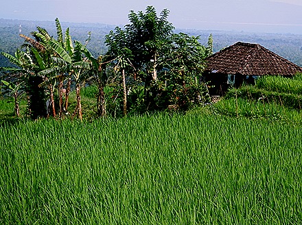 273. Benoa, Bali, Day 1