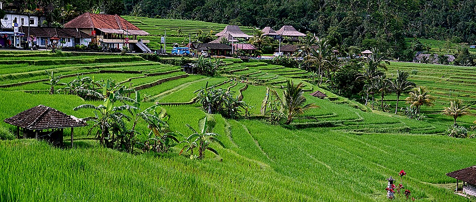 281a. Benoa, Bali, Day 1_stitch