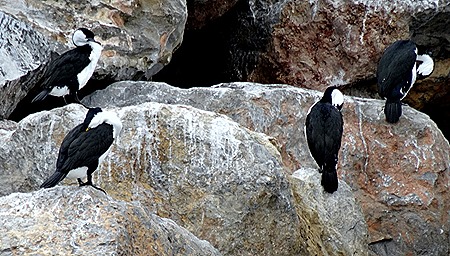 29. Penneshaw, Kangaroo Island