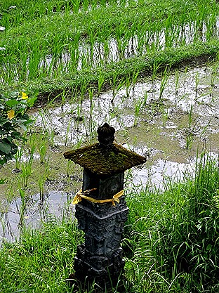 34. Benoa, Bali, Day 1