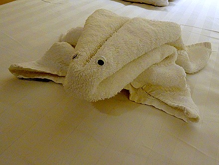 42. Adelaide, Australia