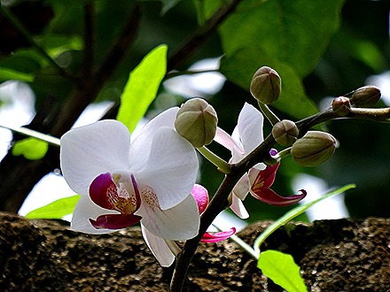 42. Benoa, Bali, Day 2