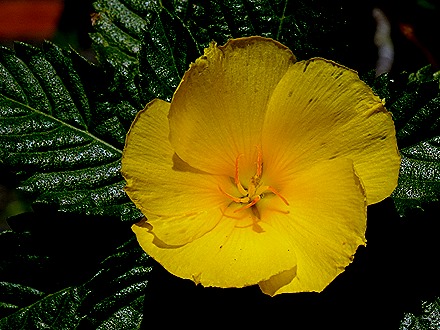 53. Manila, Philippines (Day 2)