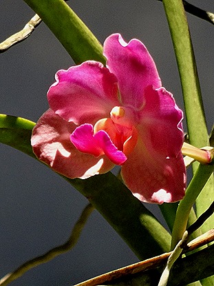 54. Manila, Philippines (Day 2)