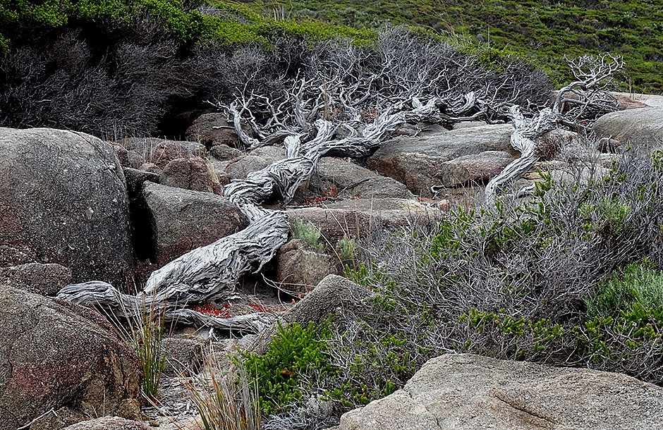 55. Albany, Australia