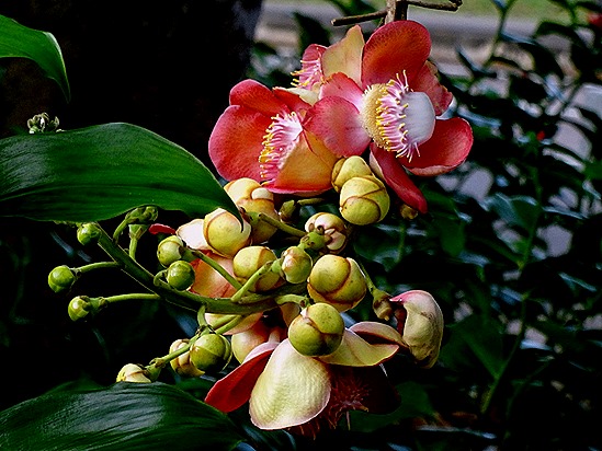 55. Singapore (Day 1)