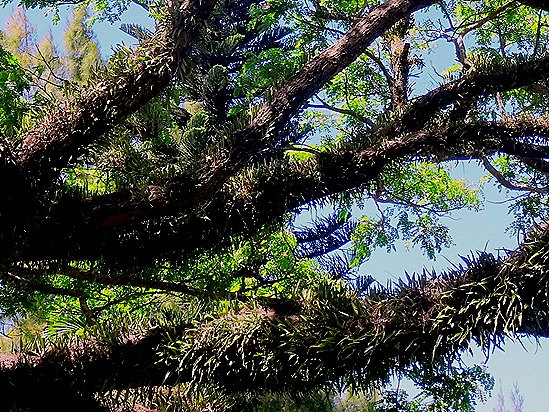 55a. Manila, Philippines (Day 2)