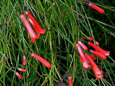 57. Singapore (Day 1)