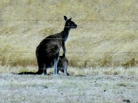 61. Albany, Australia