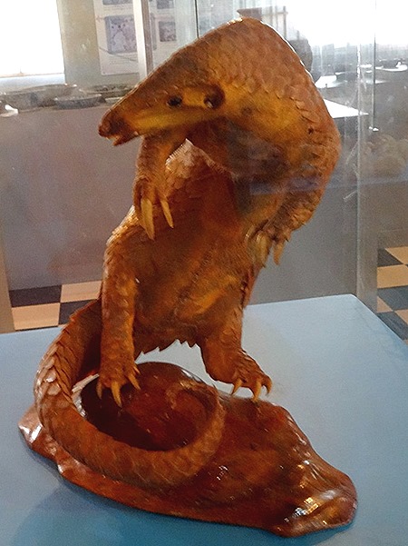 61. Puerto Princesa, Philippines