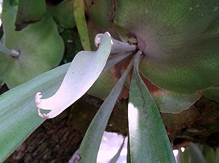 63. Benoa, Bali, Day 2