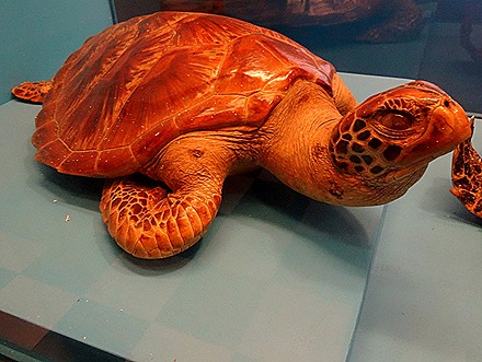 63. Puerto Princesa, Philippines