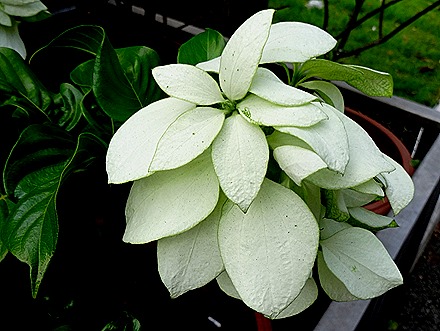 65. Singapore (Day 1)