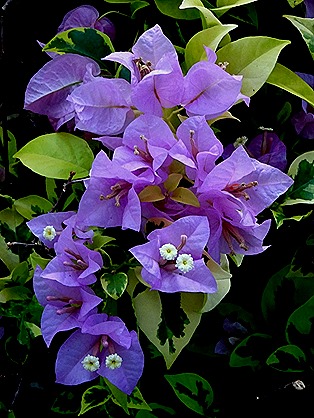 67. Singapore (Day 1)