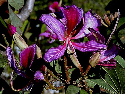 7. Hong Kong, China (Day 2)