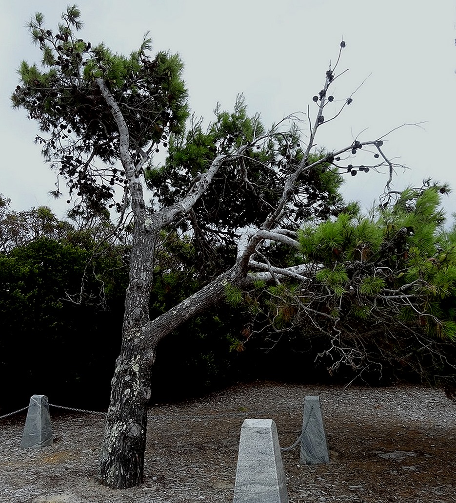 71. Albany, Australia