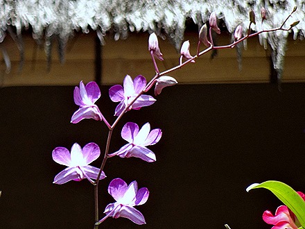 75. Benoa, Bali, Day 2