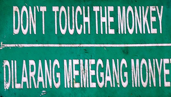 79. Benoa, Bali, Day 1