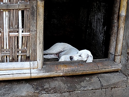 80. Benoa, Bali, Day 2