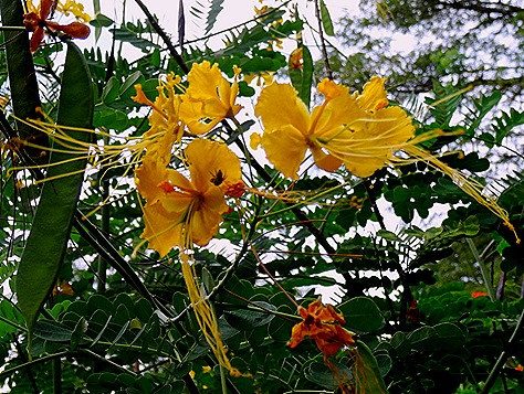 83. Puerto Princesa, Philippines