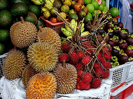 92. Benoa, Bali, Day 1