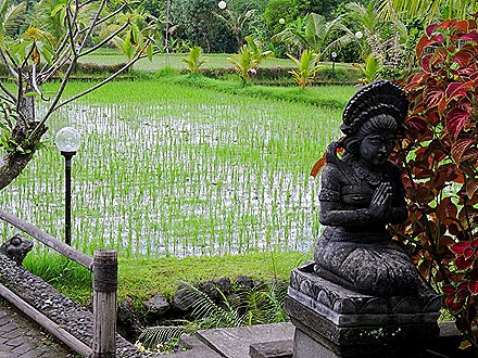 95. Benoa, Bali, Day 2