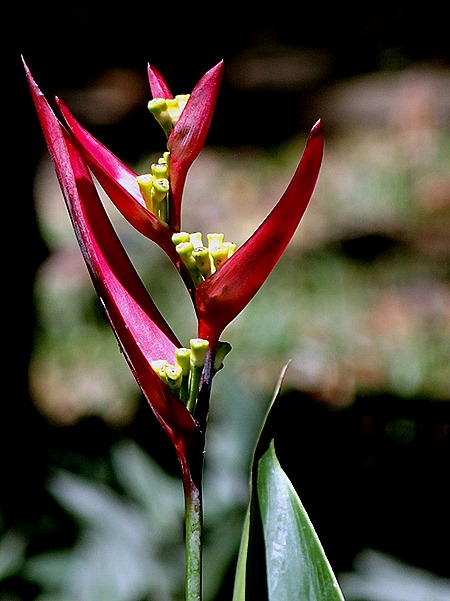 96. Manila, Philippines