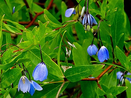 99. Albany, Australia