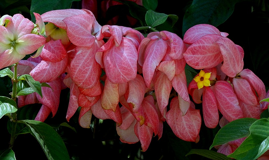 99. Manila, Philippines