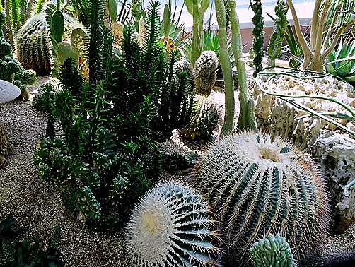 100. Singapore (Day 2)