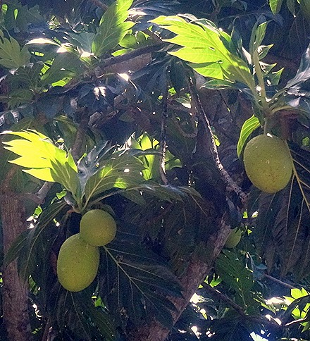 104. Victoria, Mahe, Seychelles