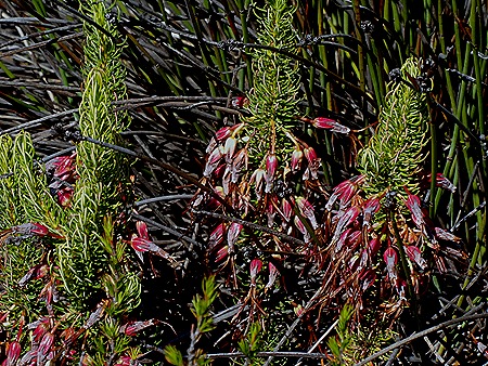 105. Capetown, South Africa