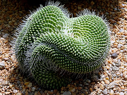 106. Singapore (Day 2)