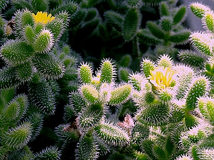 109. Singapore (Day 2)