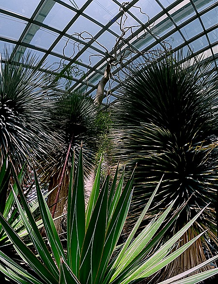 110a. Singapore (Day 2)_stitch