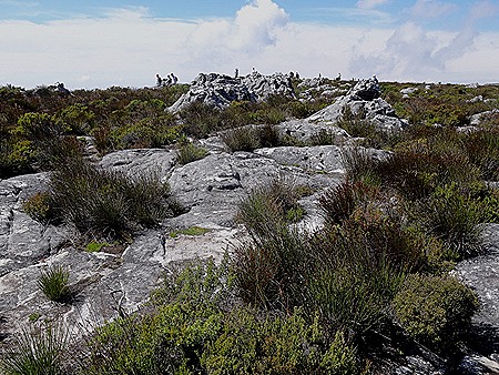 112. Capetown, South Africa