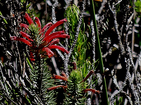 113. Capetown, South Africa