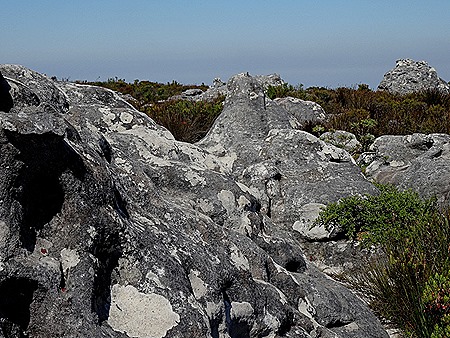 114. Capetown, South Africa