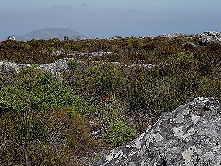 115. Capetown, South Africa