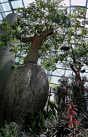 118a. Singapore (Day 2)_stitch