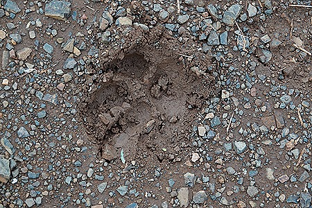 119. Kruger Nat Park, South Africa