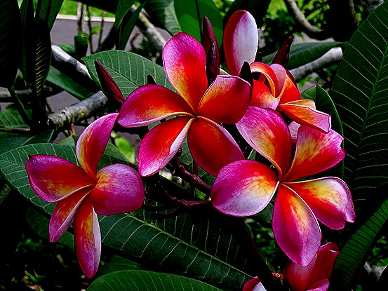 12. Singapore (Day 2)