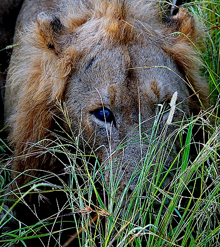 121. Kruger Nat Park, South Africa
