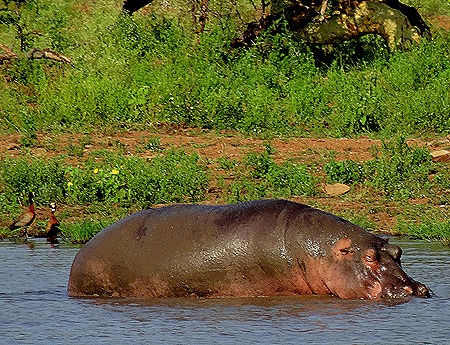 122. 010418Maputo, Mozambique & Kruger Nat Park, South Africa