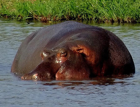 124. 010418Maputo, Mozambique & Kruger Nat Park, South Africa