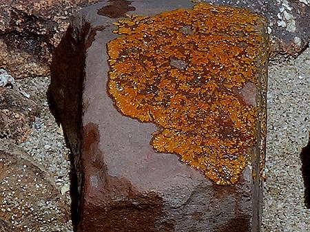 125b. Walvis Bay, Namibia080418