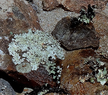 125c. Walvis Bay, Namibia080418