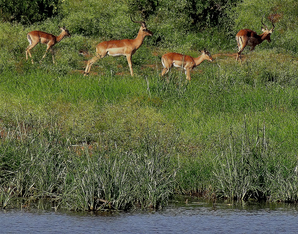 126. 010418Maputo, Mozambique & Kruger Nat Park, South Africa